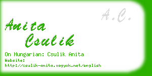 anita csulik business card